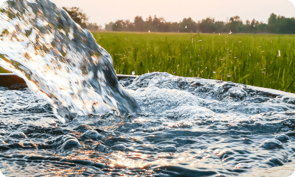 groundwater